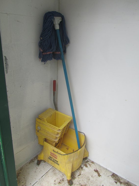 Mop Bucket And Mop