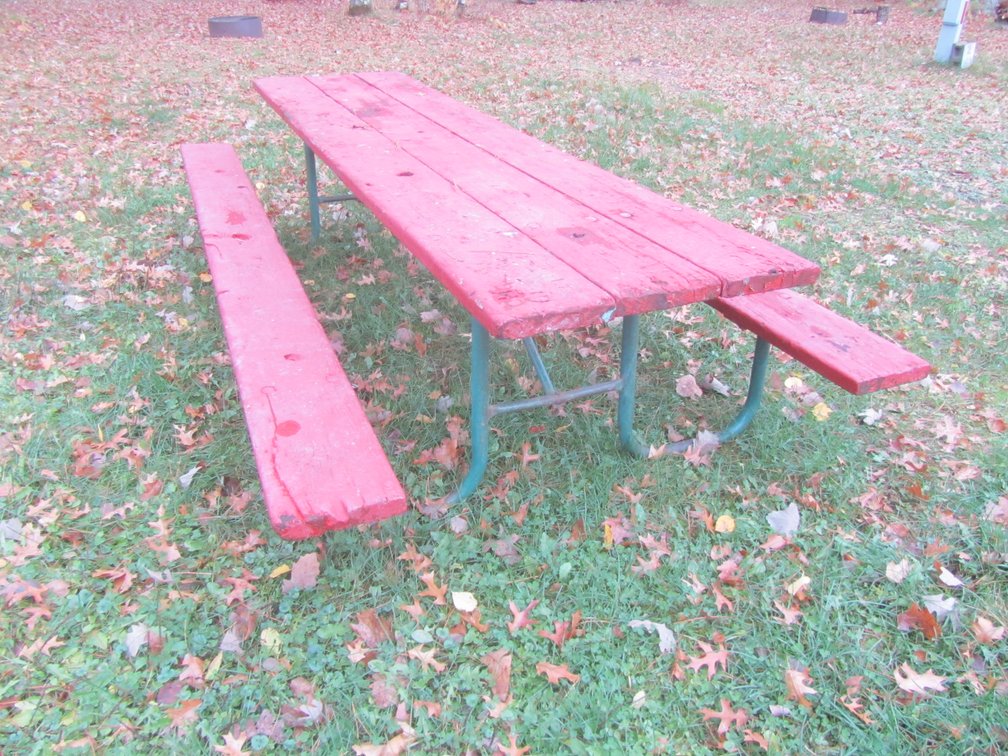 10' Picnic Table