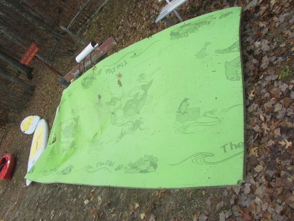 Aqua Lilly Pad