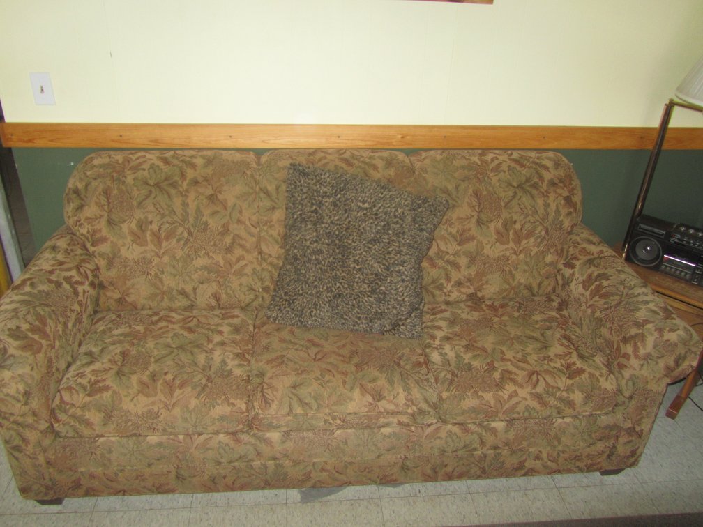 Hide-A-Bed Couch