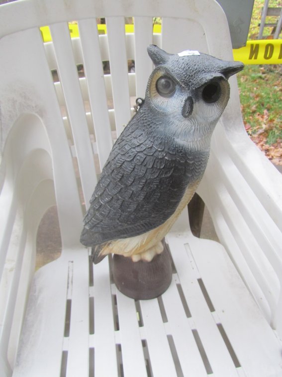 Owl Decoy