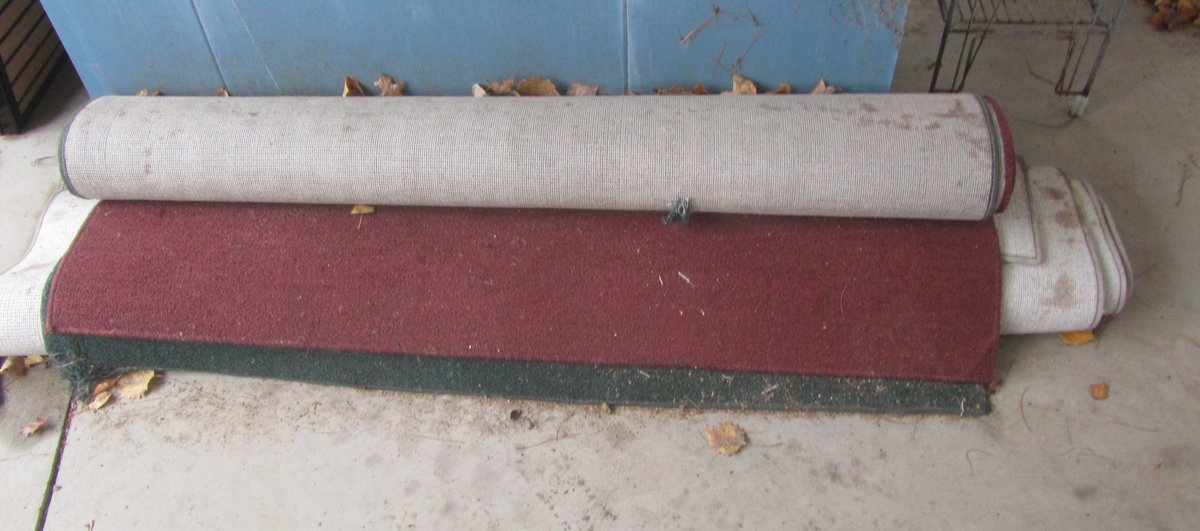 (3) Large Area Rugs