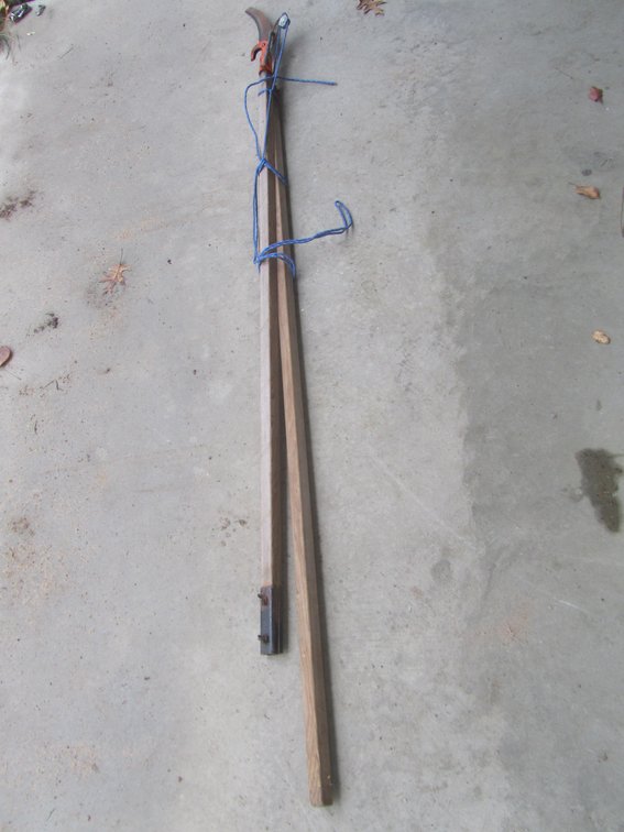 Tree Branch Cutter w/Extension