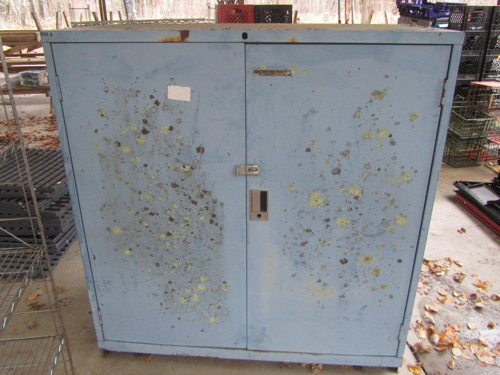 Metal Storage Cabinet