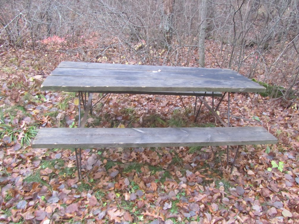 Wood Picnic Table