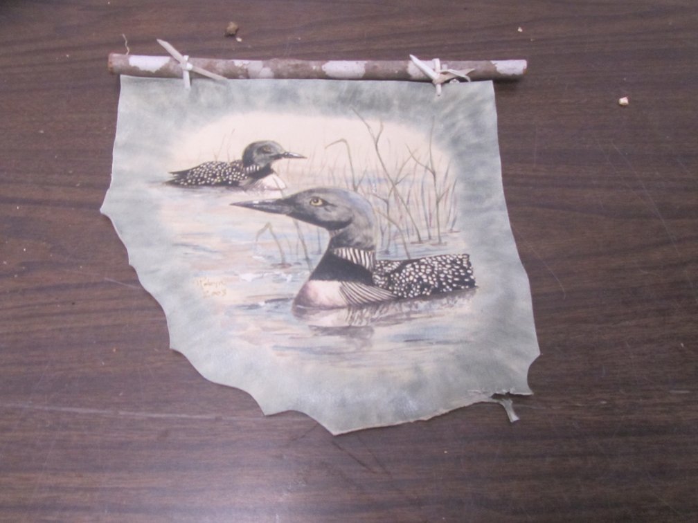 Original Loon Artwork On Hide/Vinyl
