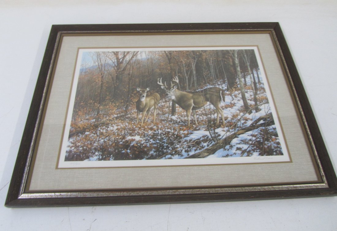 Michael Sieve 1979 Whitetail Deer Print