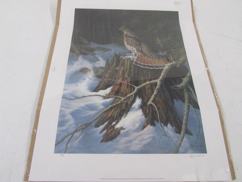 "Evening Display" By Don Moore Print