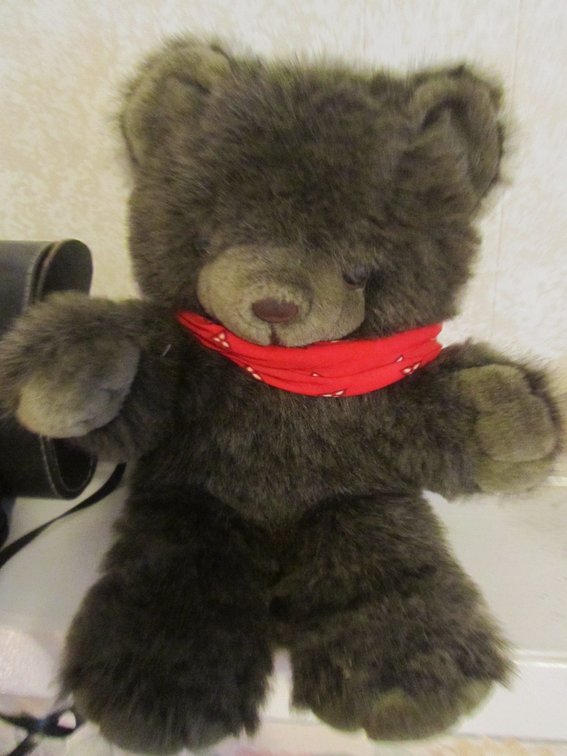 Cuddle Wit Teddy Bear