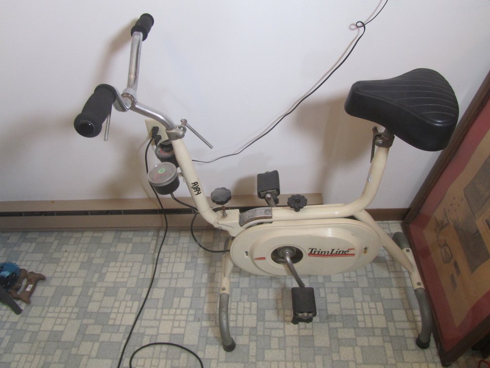Ajay TrimLine Stationary Bike