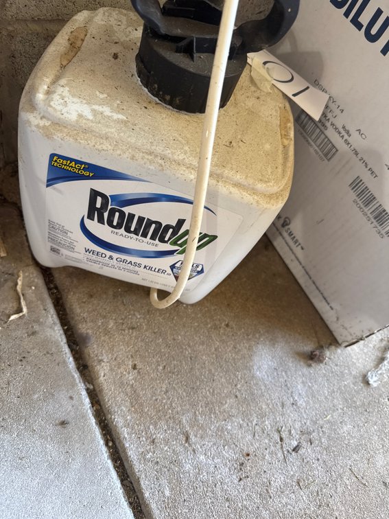 Weed and grass killer sprayer