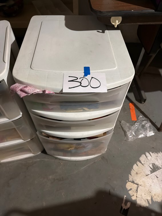 Organizer