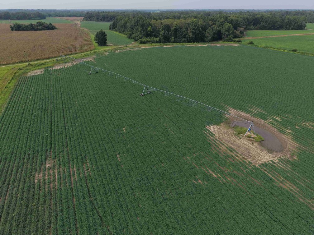 LOT 1 - 119+/- TOTAL ACRES