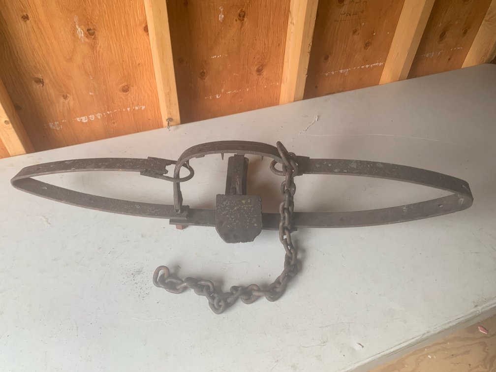 Bear Trap. 36” Long. Has Some Repairs Shown In Pictures