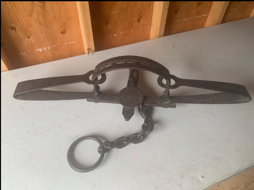 S. Newhouse #15 Bear Trap. Patented September 26, 1911. 34 1/2” Long
