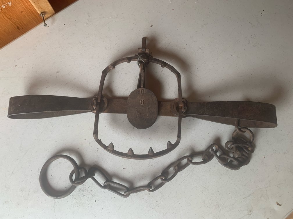 Triumph Trap Co. 415X High Grip Wolf/Bear Trap. 24 1/2” Long