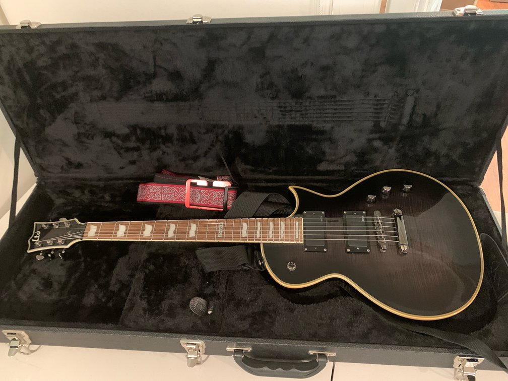 ESP LTD Les Paul EC-401FM Electric Guitar with Case