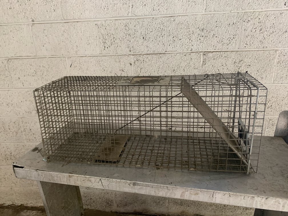 Wire Mesh Live Animal Trap