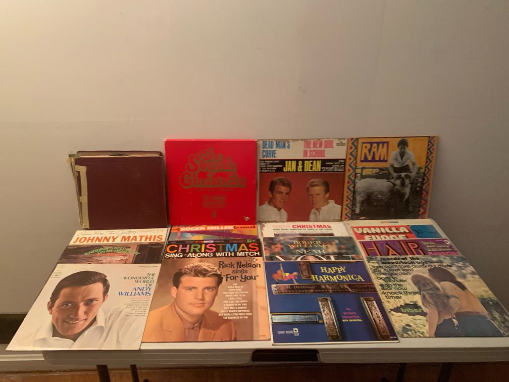 Vinyl LP Records and Record Storage Binder