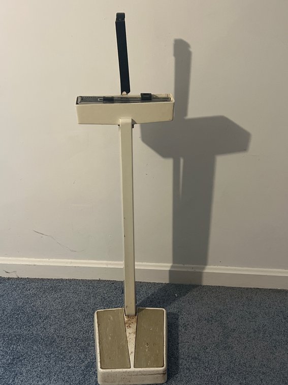 Detecto Doctor's Scale Upright Balance Beam Scale