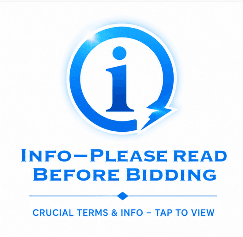 Lot ***Please Read Before Bidding***