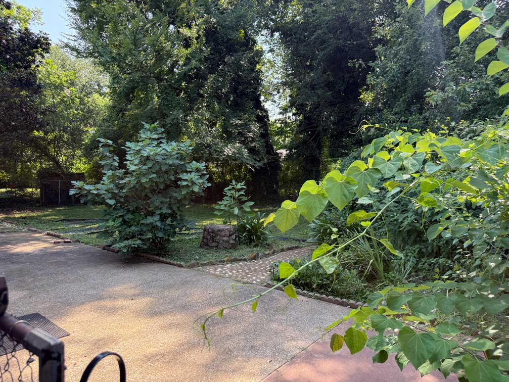 Image for 3 Bed 2-1/2 Baths House 3614 Cerro Vista Huntsville Al