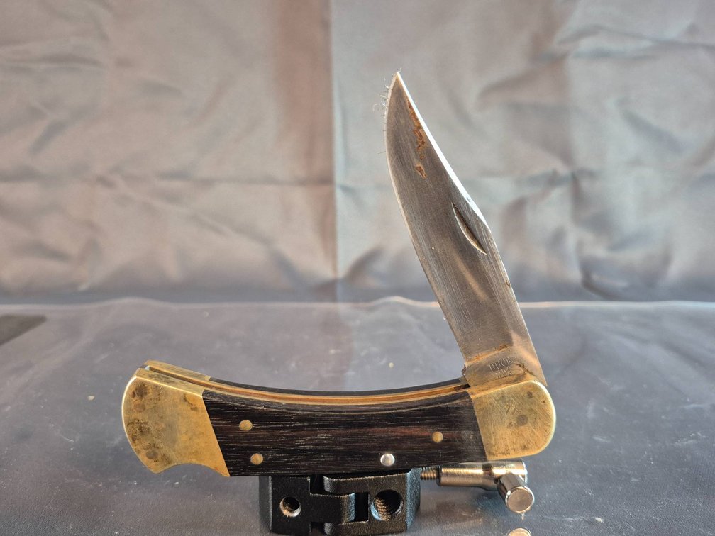 Buck 110 Folding Knife with Brass Bolsters and Wood Inlays