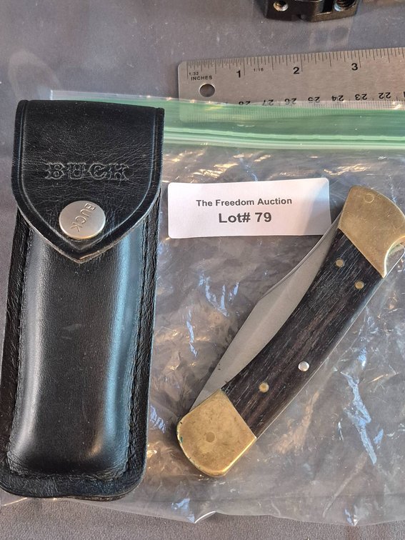 Buck 110 Folding Knife with Brass Bolsters and Leather Sheath