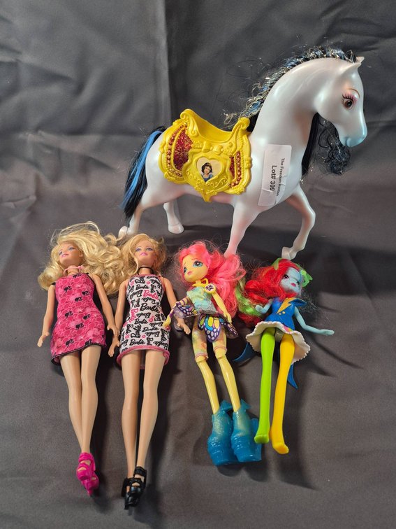 Barbie Dolls, Equestria Girls Dolls, and White Horse With Saddle