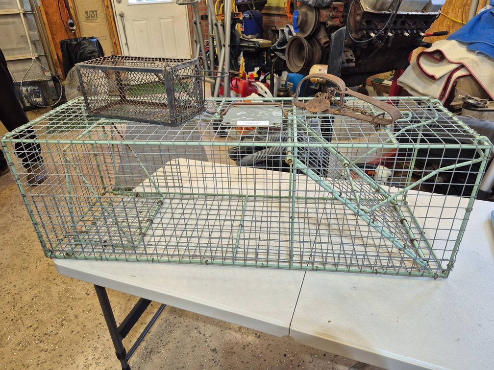 Metal Live Animal Traps and Steel Jaw Foot Trap Lot