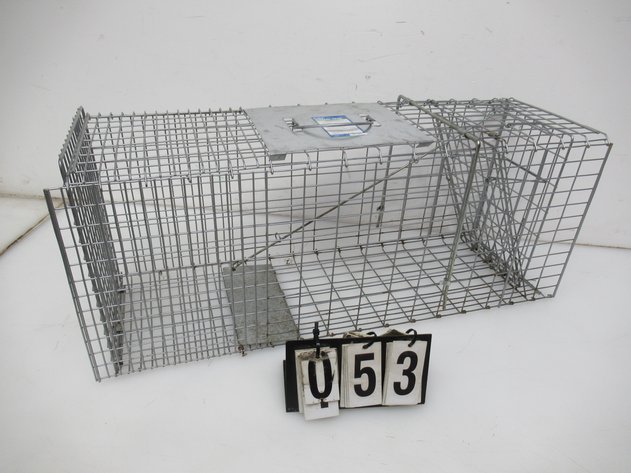 Image for Lot 53