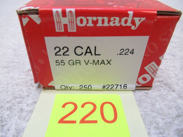 Image for 22 Cal Bullets