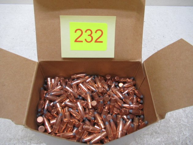 Image for 22 Cal Bullets