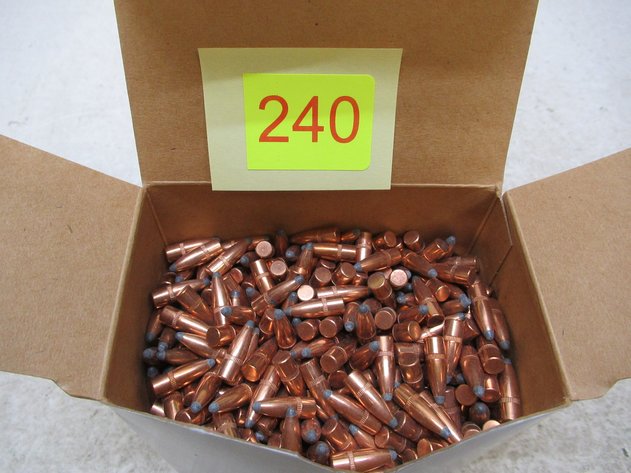 Image for 22 Cal Bullets