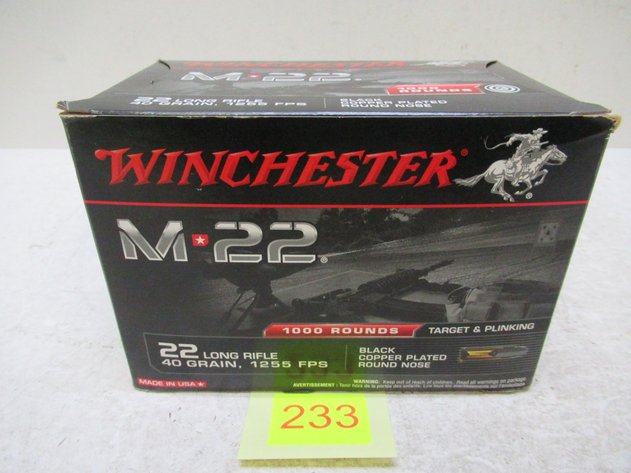 Image for 22LR Ammo