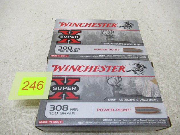 Image for 308 Win Ammo