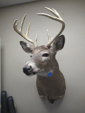Image for Lot 62