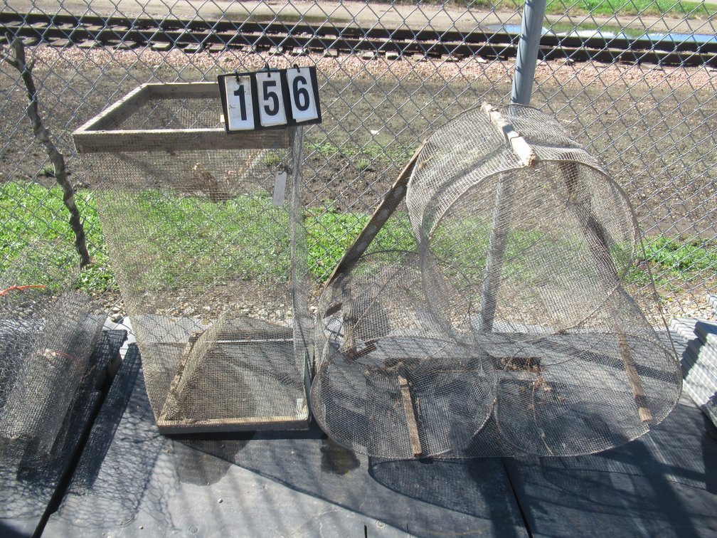 Lot 156