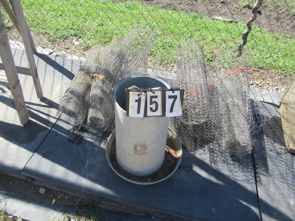 Lot 157