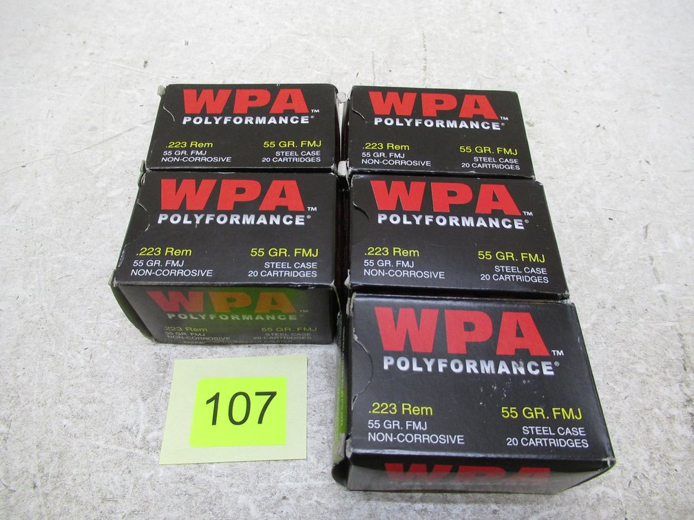 223 Ammo