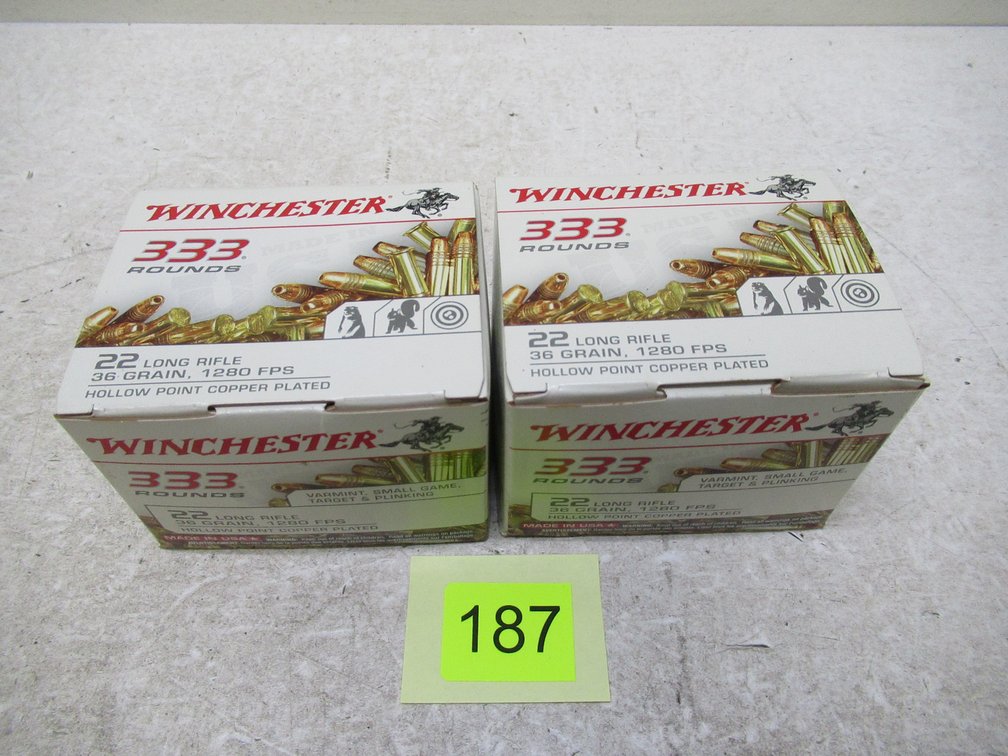 22LR Ammo