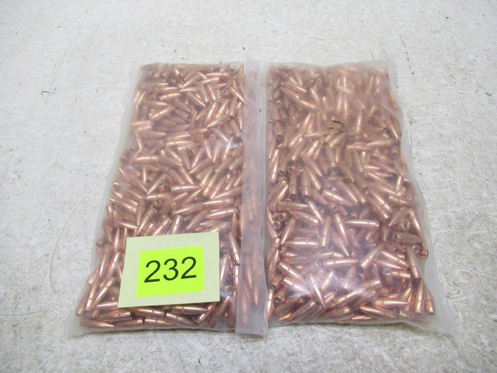 22 Cal Bullets