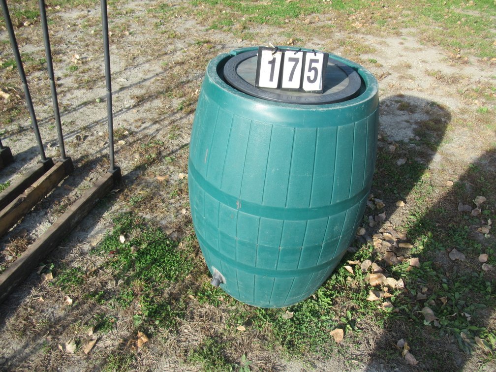 Lot 175