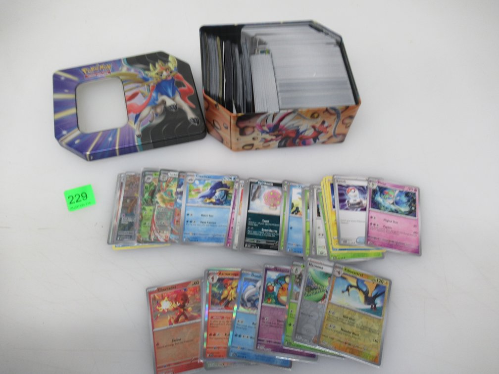 Lot 229