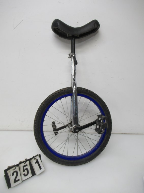 Lot 251