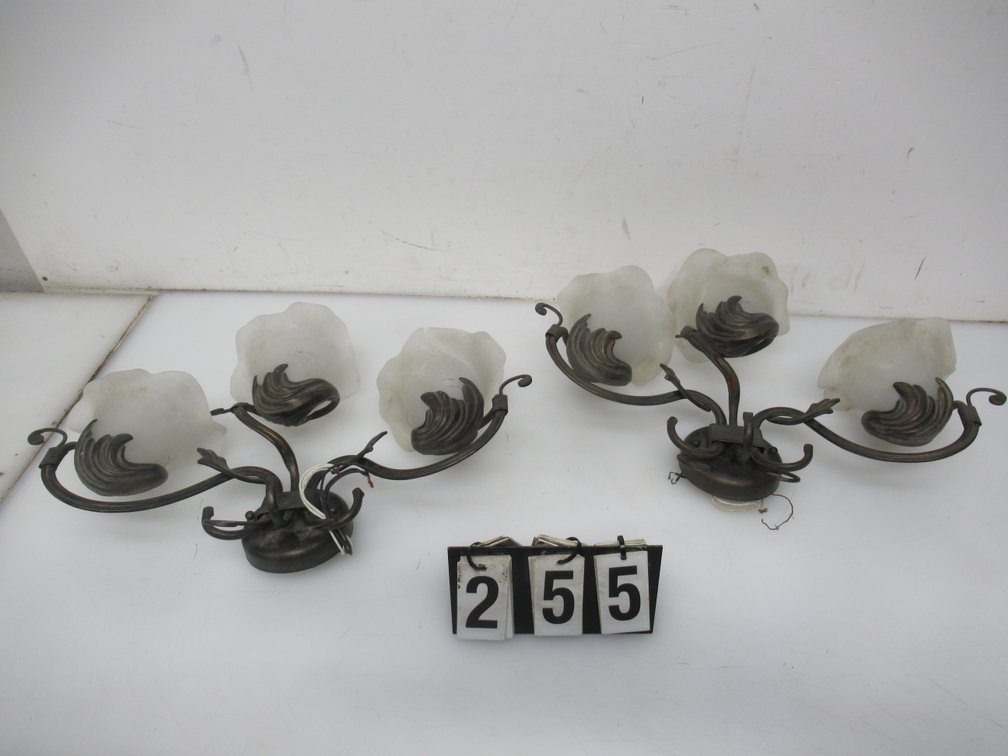 Lot 255