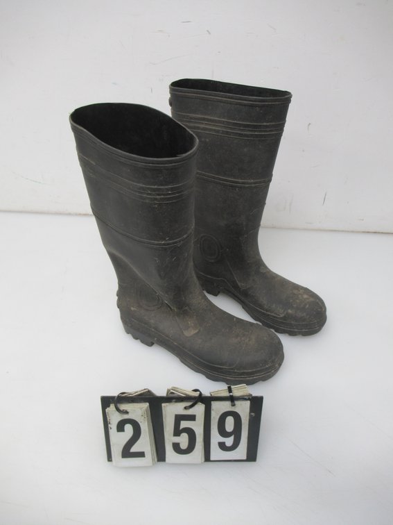 Lot 259