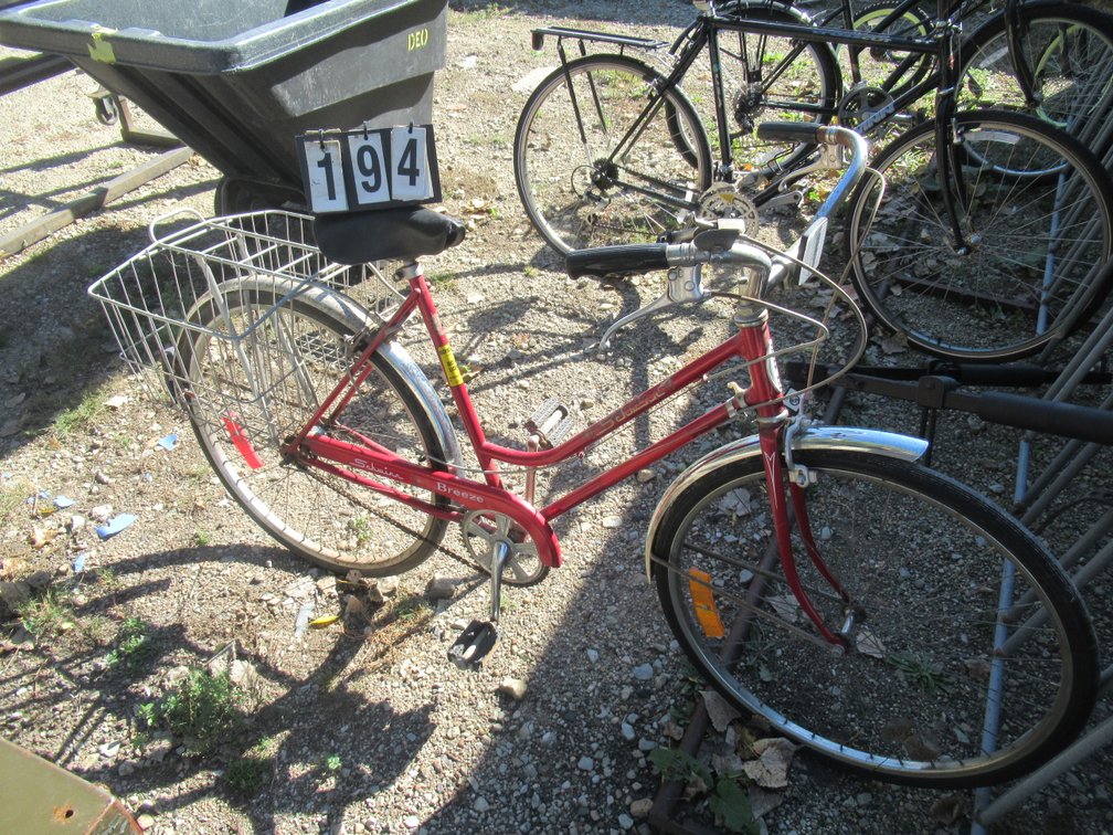 Lot 194