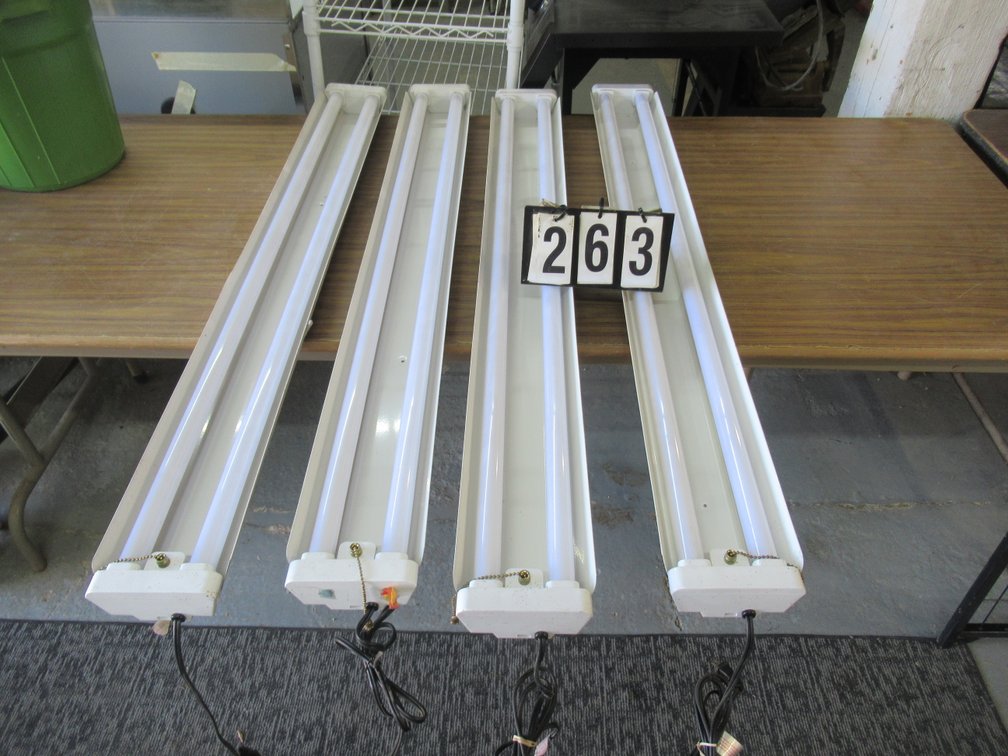 Lot 263