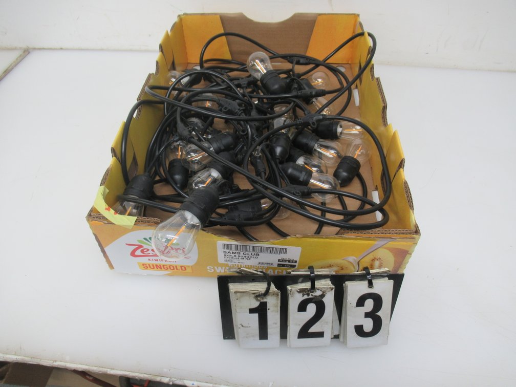 Lot 123